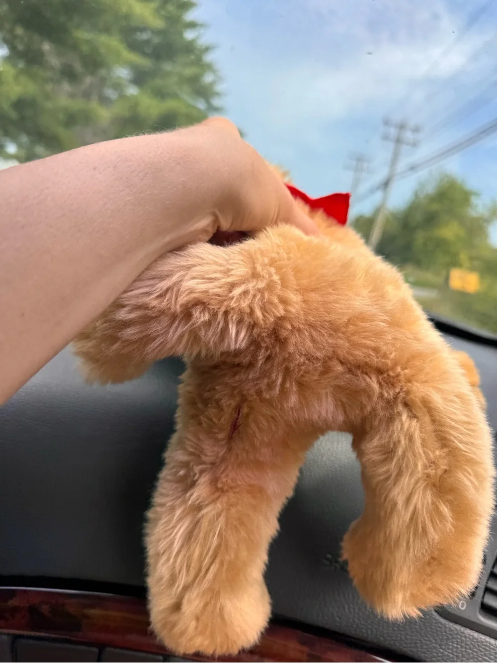 L.L.Bean X Douglas Golden retriever dog with Red LL bean Bandana